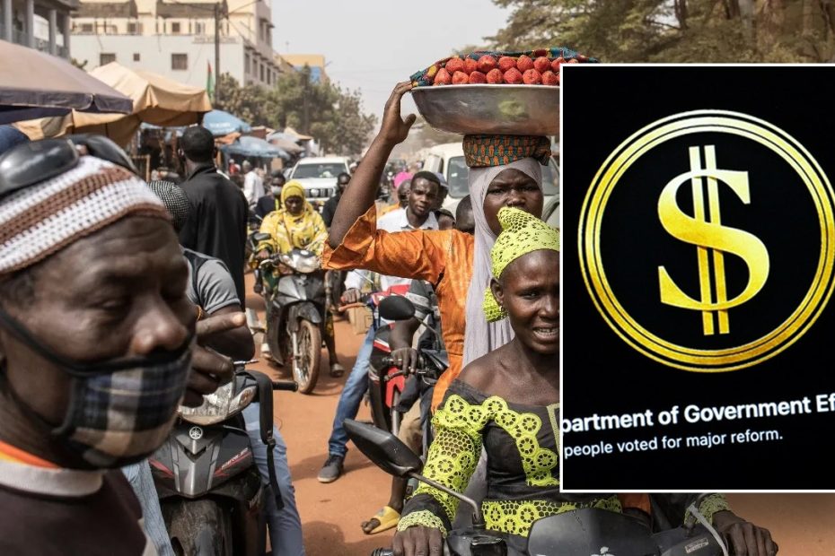 DOGE cuts M in grants promoting shea butter, pineapple juice and more