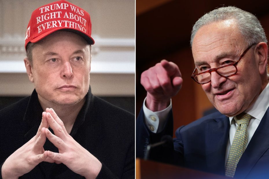 Elon Musk suggests Schumer is profiting off of government fraud