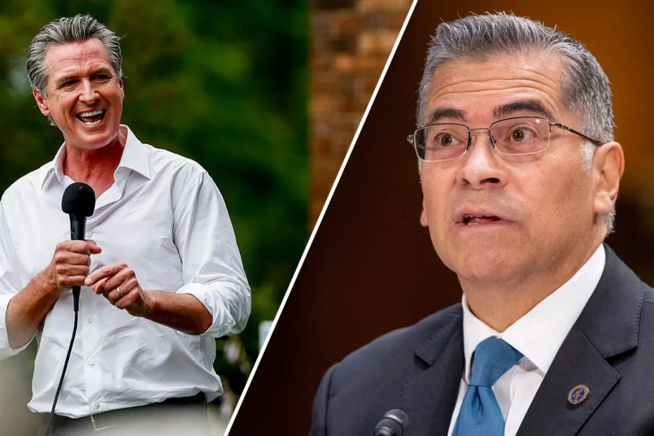 Ex-Biden official running in blue state gubernatorial race must tackle key issue