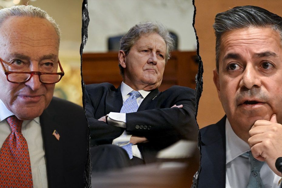 GOP senator claps back at Trump tariff cost projections: ‘Uncharted waters’