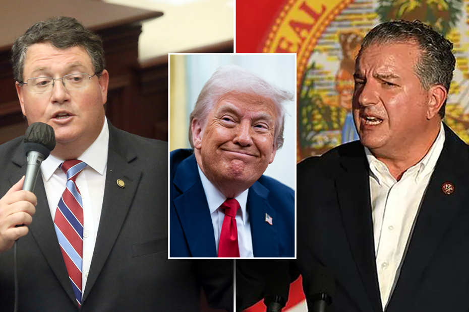 New Trump-picked lawmakers on Capitol Hill: Who are Randy Fine and Jimmy Patronis?