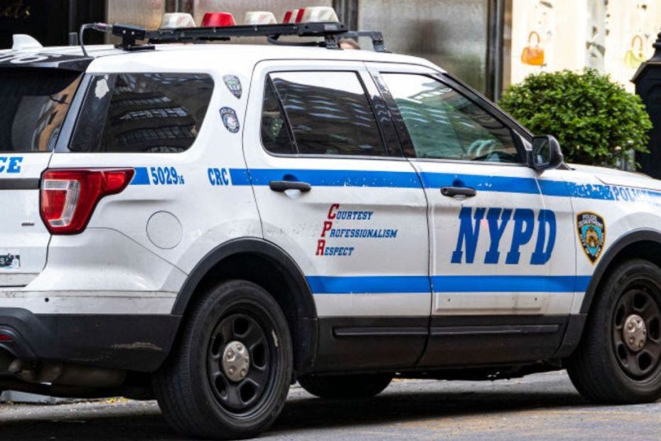New York proposal would ban police from making traffic stops for minor violations to pursue ‘racial equity’