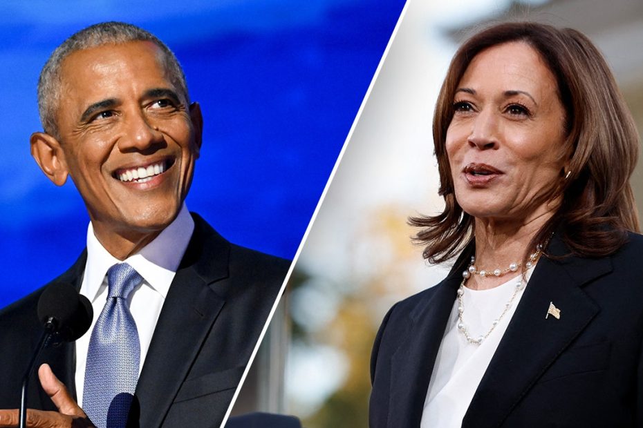 New book details Obama’s strained relationship with Democratic party