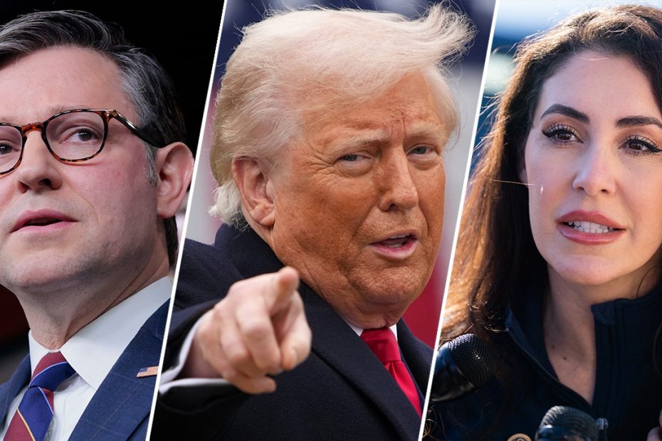 Trump supports proxy voting for new moms in Congress